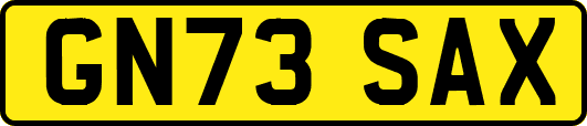 GN73SAX