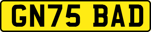 GN75BAD