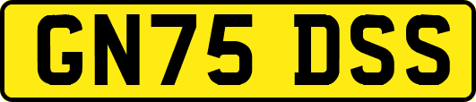 GN75DSS