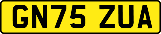 GN75ZUA