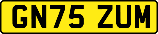 GN75ZUM