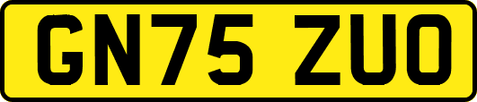 GN75ZUO