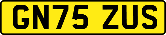 GN75ZUS