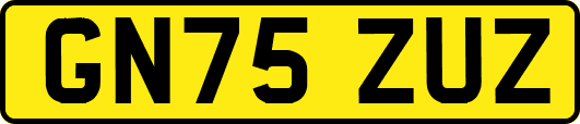 GN75ZUZ