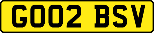 GO02BSV