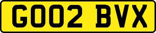 GO02BVX