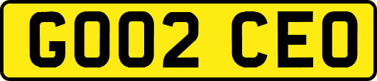 GO02CEO