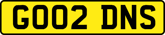 GO02DNS