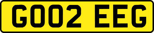 GO02EEG