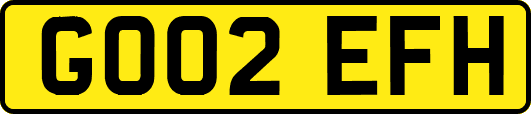 GO02EFH