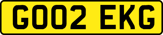 GO02EKG