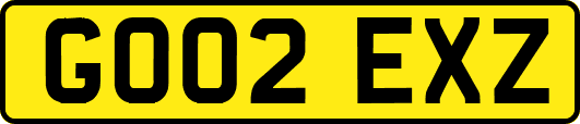 GO02EXZ