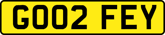 GO02FEY