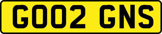 GO02GNS