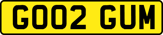 GO02GUM