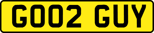 GO02GUY