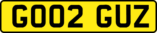 GO02GUZ
