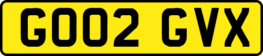 GO02GVX