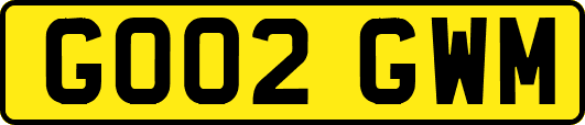 GO02GWM