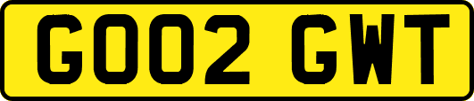 GO02GWT