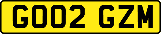 GO02GZM
