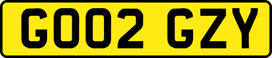 GO02GZY