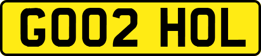 GO02HOL