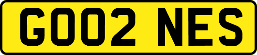 GO02NES