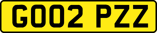 GO02PZZ