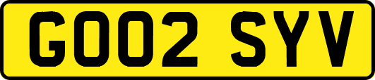GO02SYV