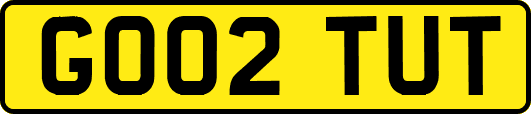 GO02TUT
