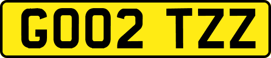 GO02TZZ