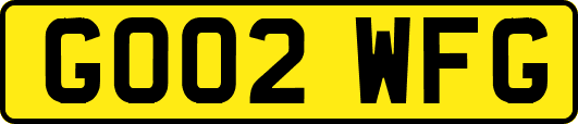 GO02WFG