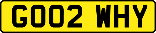 GO02WHY