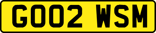 GO02WSM