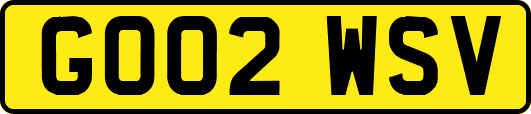 GO02WSV