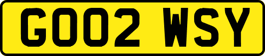 GO02WSY