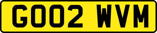 GO02WVM