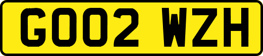 GO02WZH