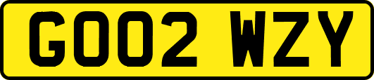GO02WZY