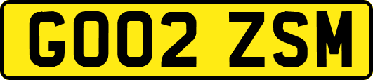 GO02ZSM