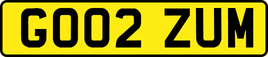 GO02ZUM