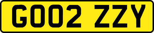GO02ZZY