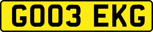 GO03EKG