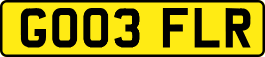 GO03FLR