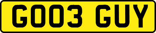 GO03GUY
