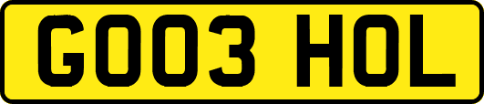 GO03HOL