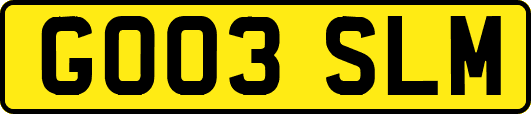 GO03SLM