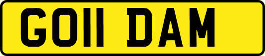 GO11DAM
