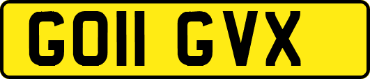 GO11GVX